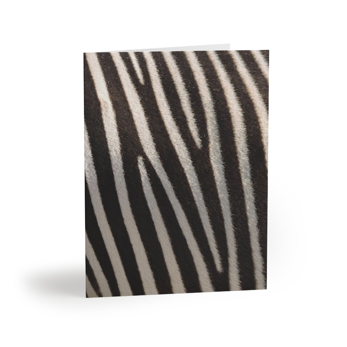 Zebra Animal Print Greeting Cards