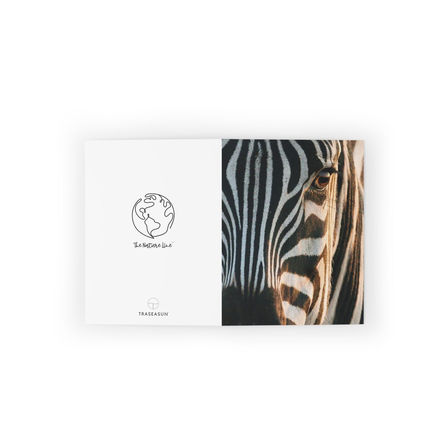 Zebra Animal Print Greeting Cards