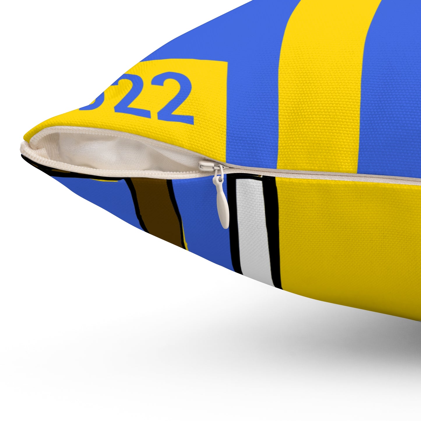 Sigma Gamma Rho Pillow