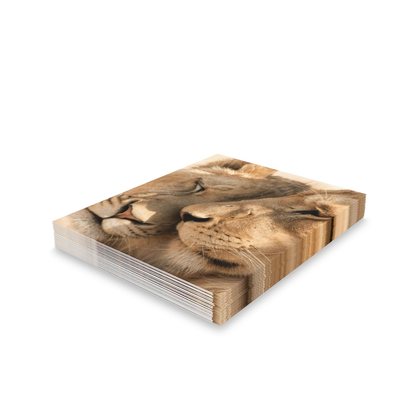 Lion Animal Print Greeting Cards