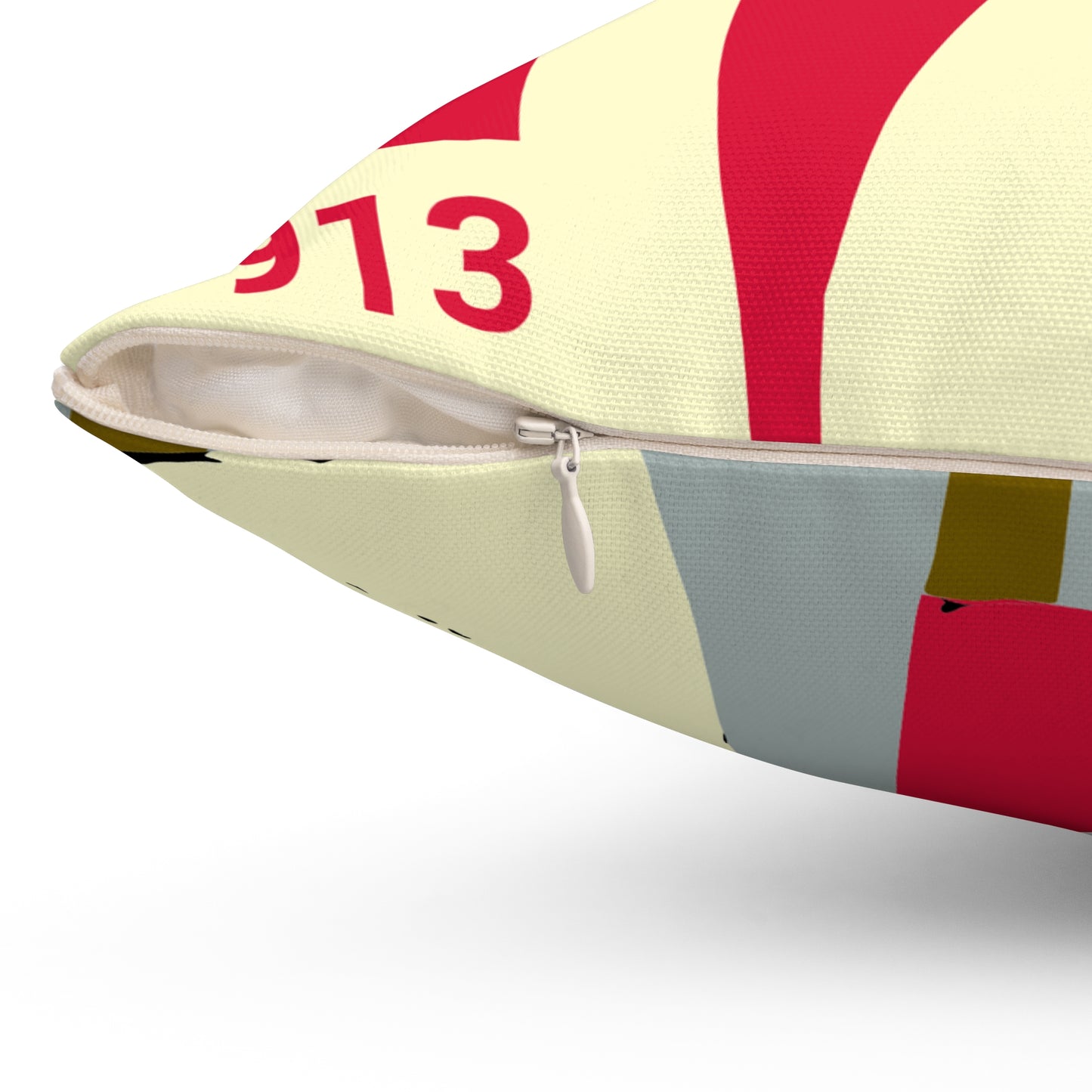 Delta Sigma Theta Pillow