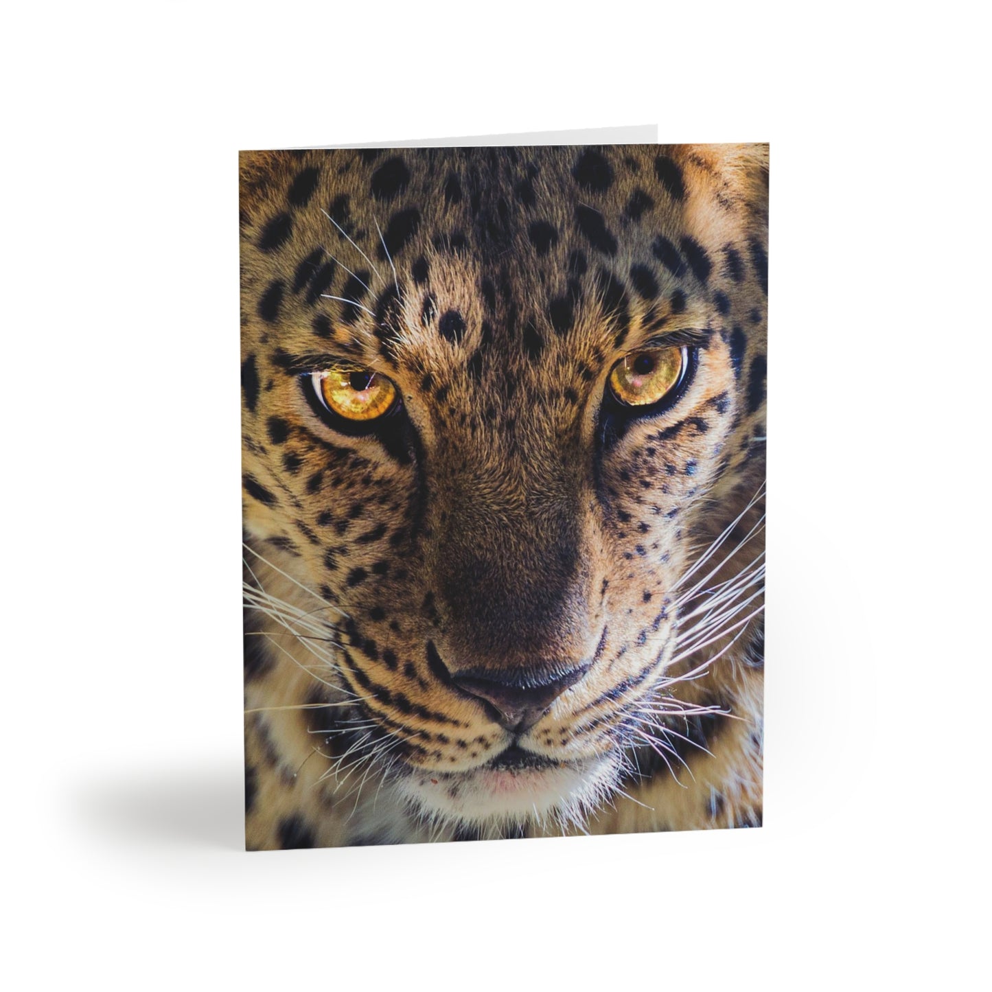 Jaguar Animal Print Greeting Cards