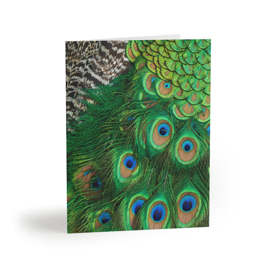 Peacock Animal Print Greeting Cards