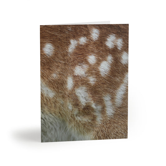 Deer Animal Print Greeting Cards